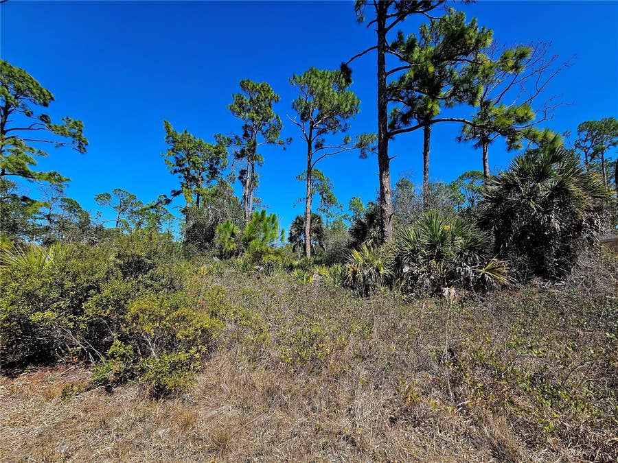 Property photo for 1468 BISCAYNE DRIVE, Port Charlotte, FL