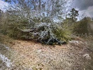 Property photo for 13274 CALOOSA DRIVE, Punta Gorda, FL