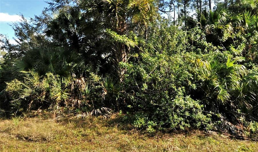 Property photo for BOLUS, North Port, FL