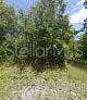 Property photo for 245 N ROMERO STREET, Clewiston, FL