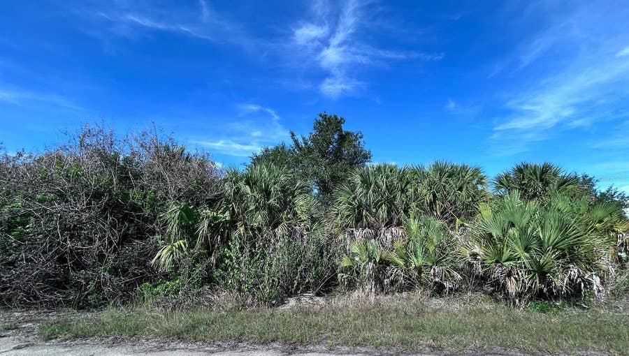 Property photo for BIGFLOWER AVENUE, North Port, FL