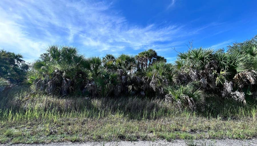 Property photo for CRIMSONGLORY ROAD, North Port, FL