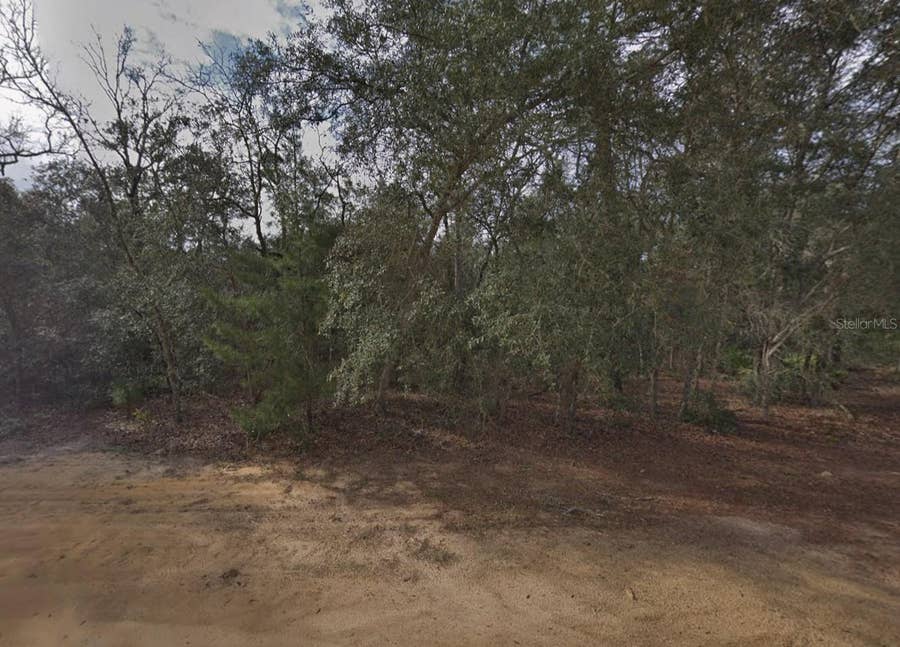 Property photo for 917 DAVID AVENUE, Interlachen, FL