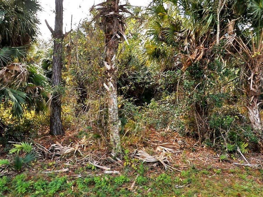 Property photo for VOGLER LANE, North Port, FL