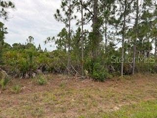 Property photo for 12141 MC ELROY AVENUE, Port Charlotte, FL