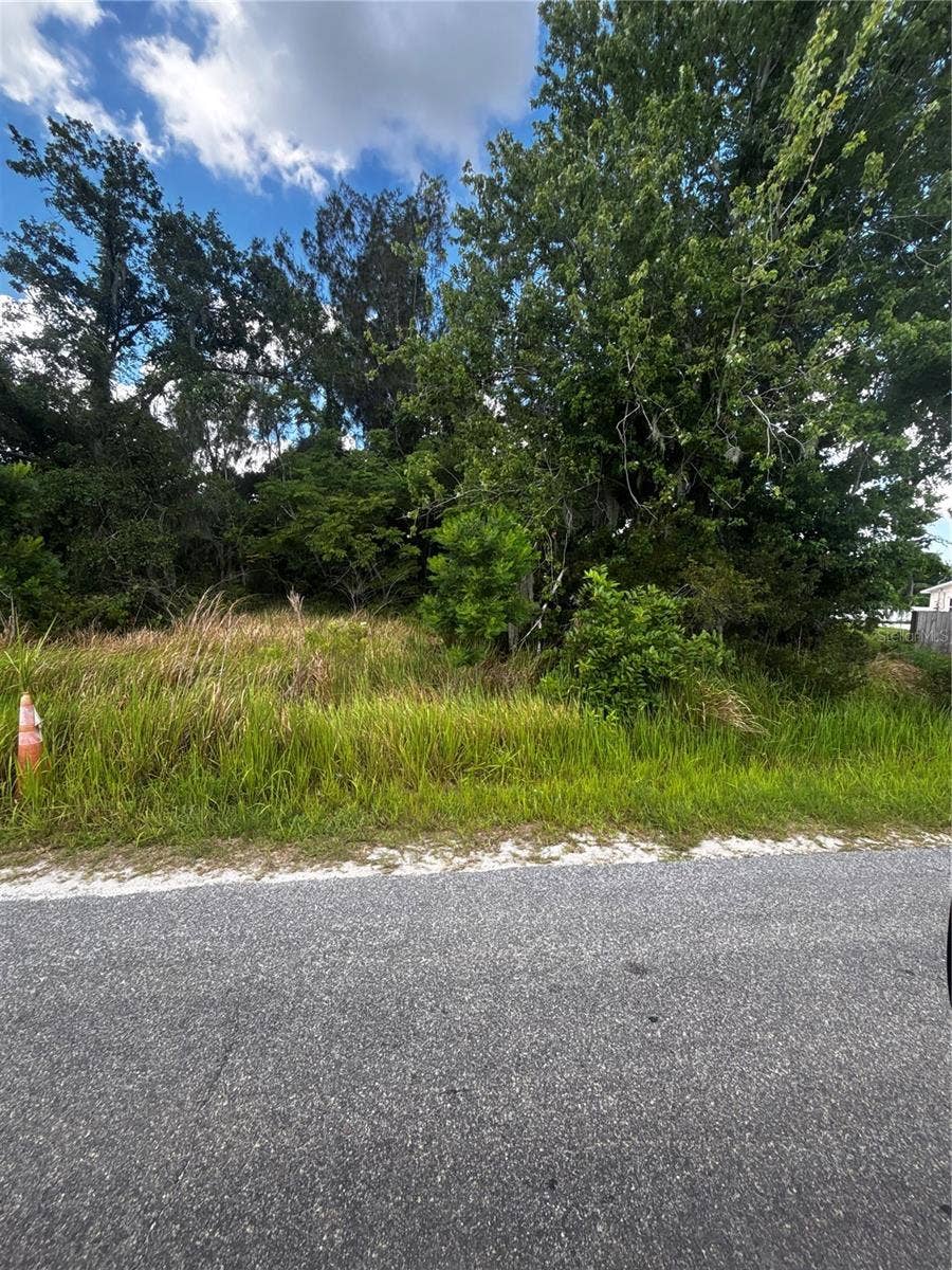 Property photo for LEE STREET, Bowling Green, FL