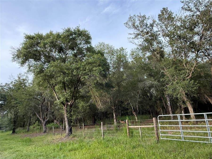 Property photo for SE BROWN ROAD, Arcadia, FL