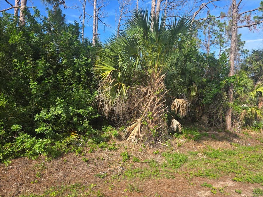 Property photo for PRONTO LANE, North Port, FL