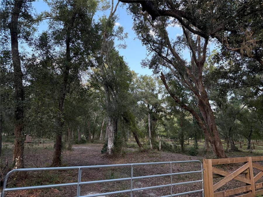 Property photo for SE BROWN ROAD, Arcadia, FL