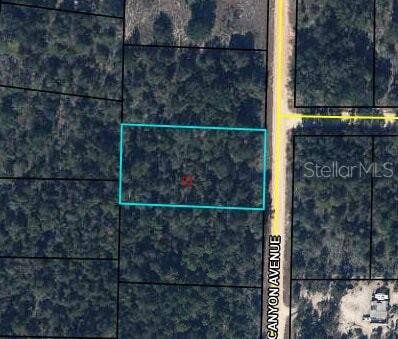 Property photo for 0 CANYON AVENUE, Alford, FL