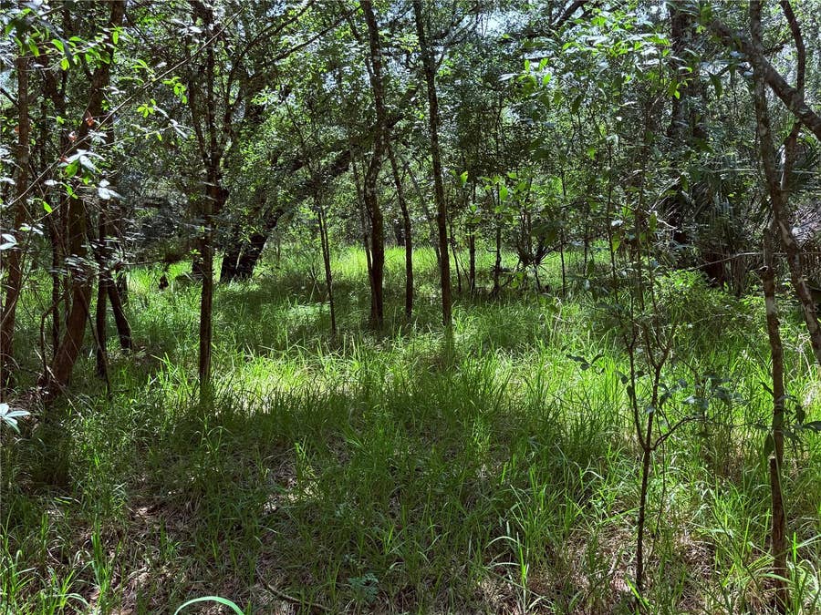 Property photo for NE RIVER RIDGE AVENUE, Arcadia, FL