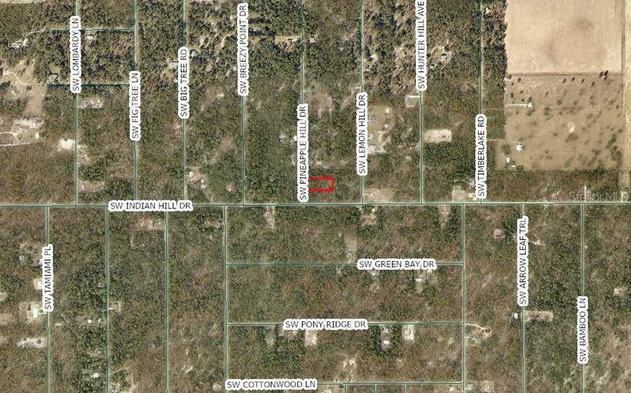 Property photo for SW PINEAPPLE HILL DRIVE, Dunnellon, FL