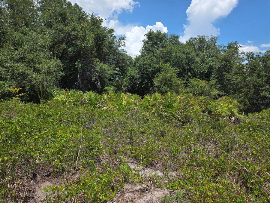 Property photo for 1297 SULSTONE DRIVE, Punta Gorda, FL