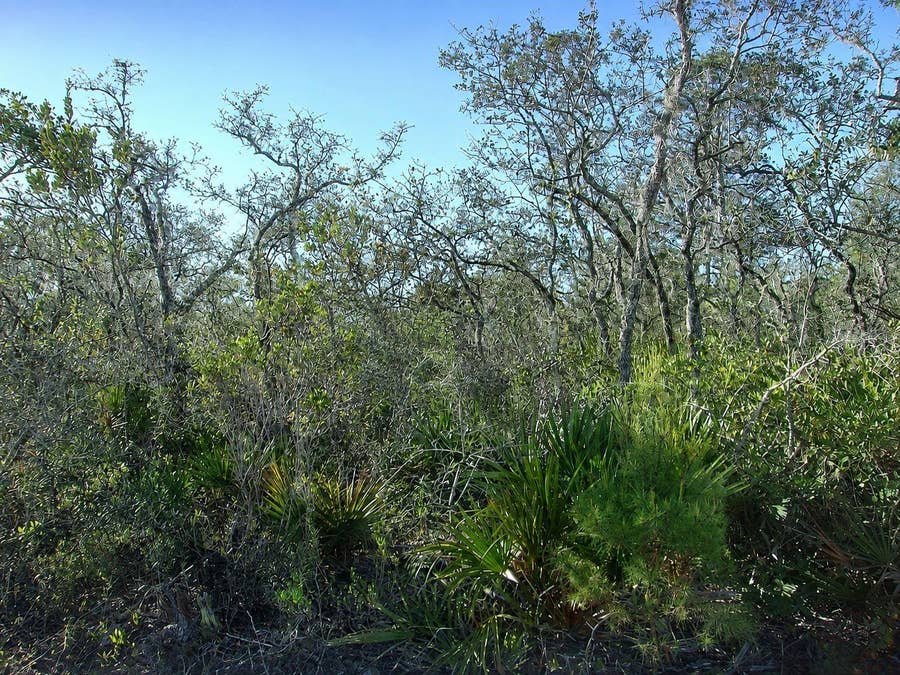 Property photo for 10566 INTERLACHER DRIVE, Sebring, FL