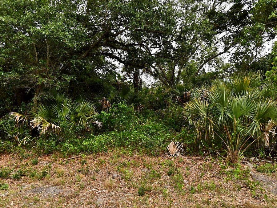 Property photo for Lot 18 DUNSMUIR ROAD, North Port, FL