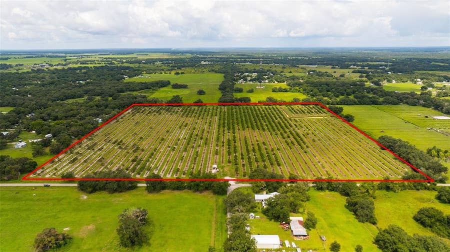 Property photo for SW CARLTON AVENUE, Arcadia, FL