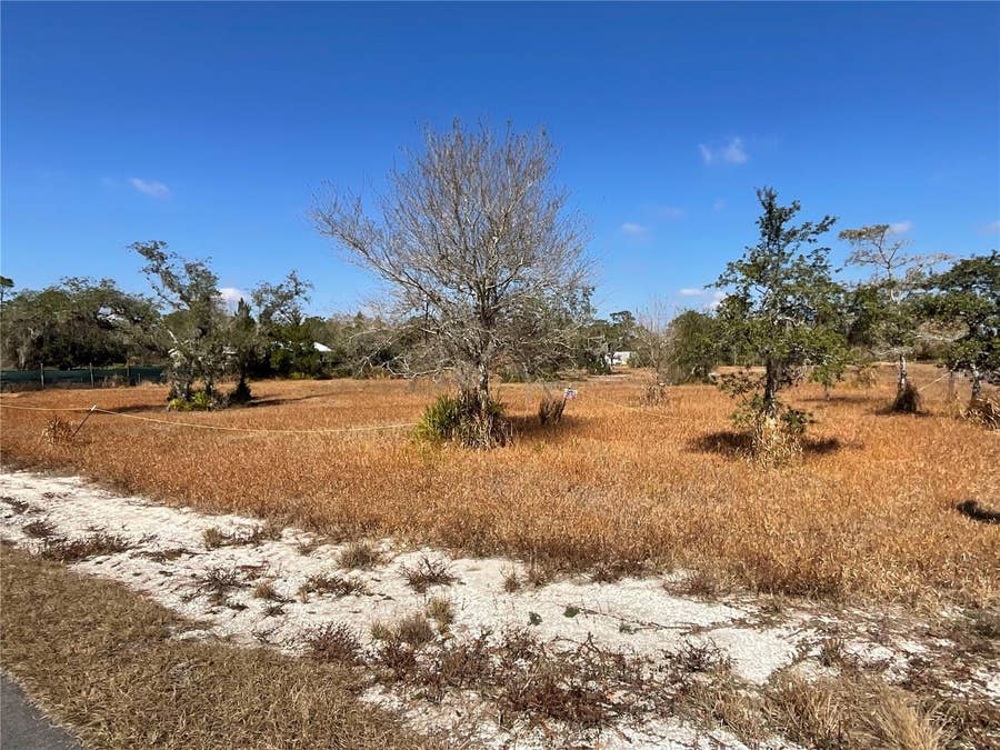 Property photo for 490 HOBBS DRIVE, Venus, FL