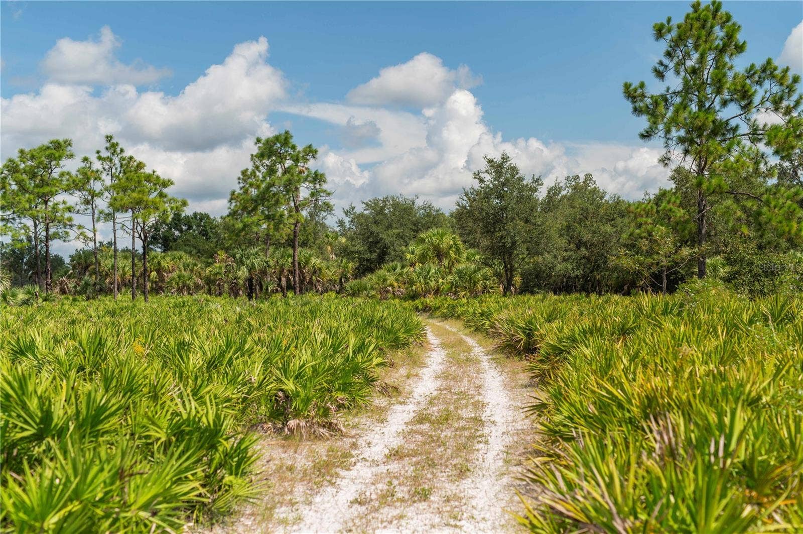 SW AURIN GRADE, #A, Arcadia, FL 34266 SW AURIN GRADE, #A, Arcadia, FL 34266