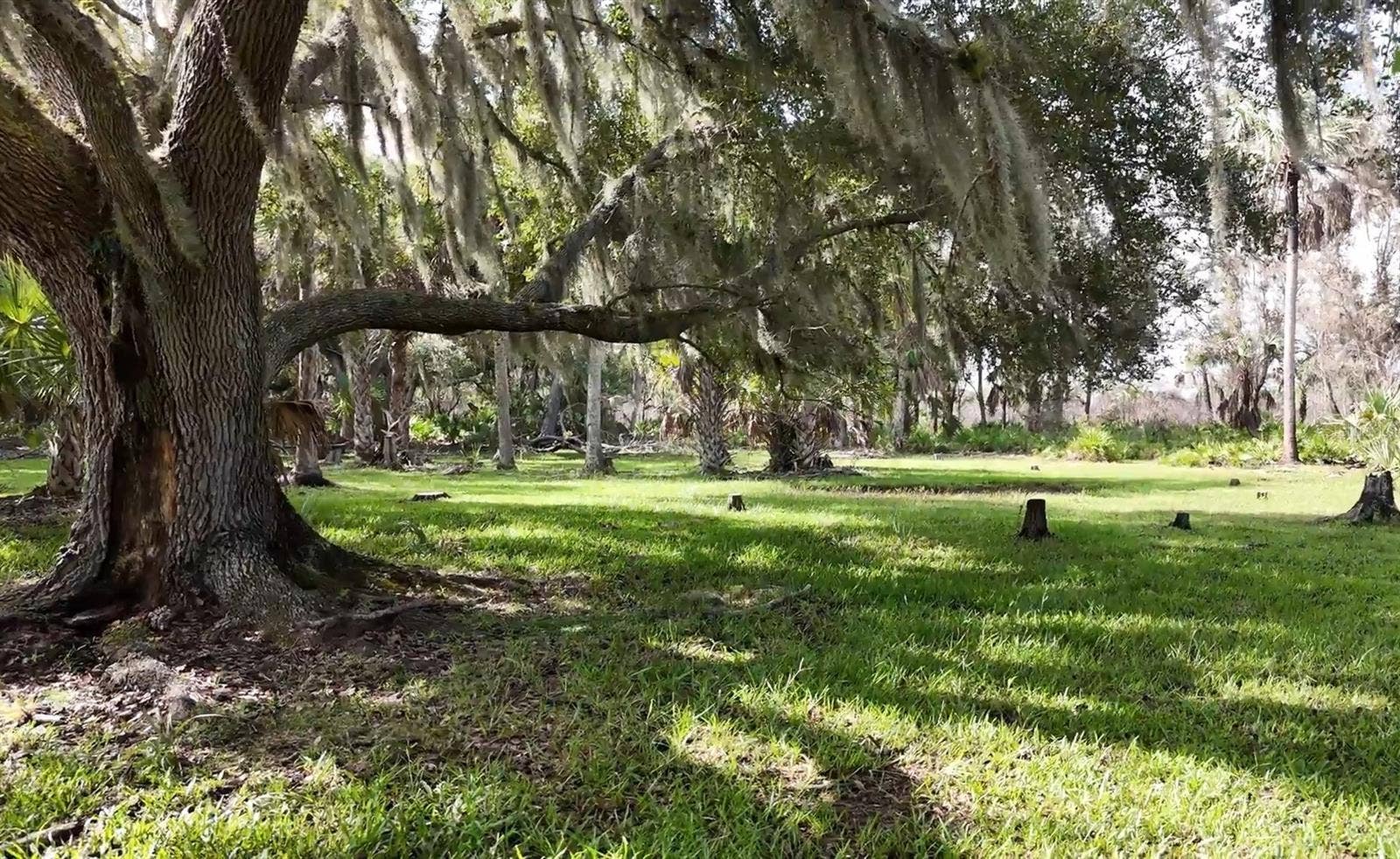 SW AURIN GRADE, #A, Arcadia, FL 34266 SW AURIN GRADE, #A, Arcadia, FL 34266