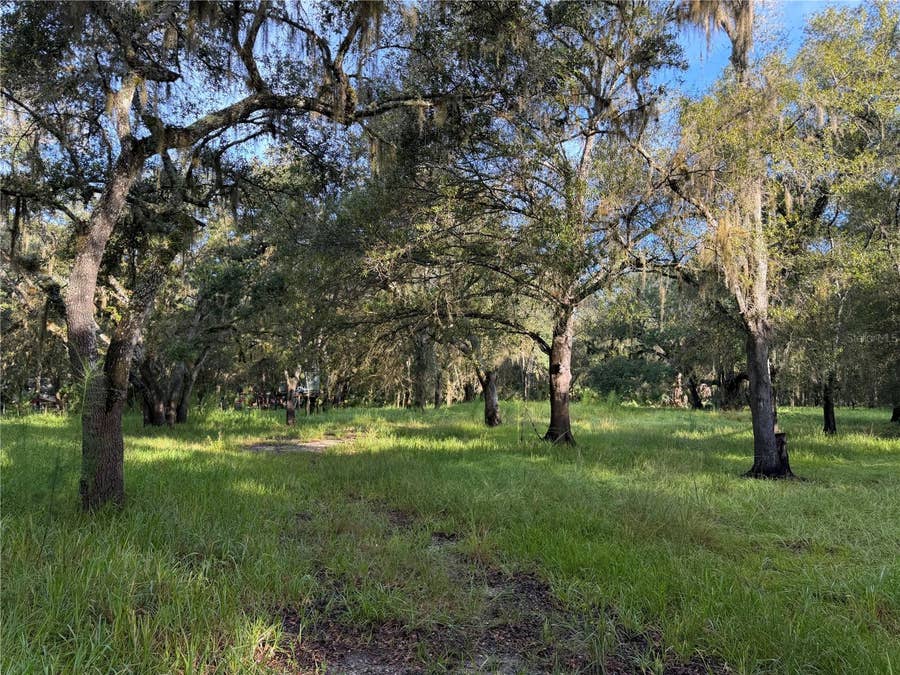 Property photo for 1284 NE RIVER MILL DRIVE, Arcadia, FL