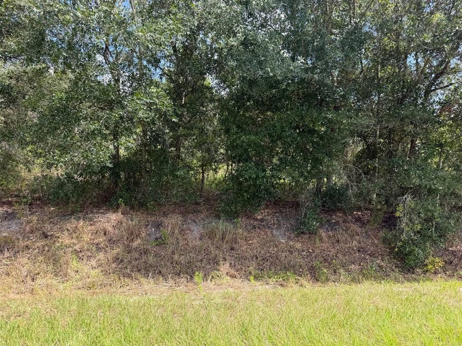Property photo for 21971 NW 260TH STREET, Okeechobee, FL