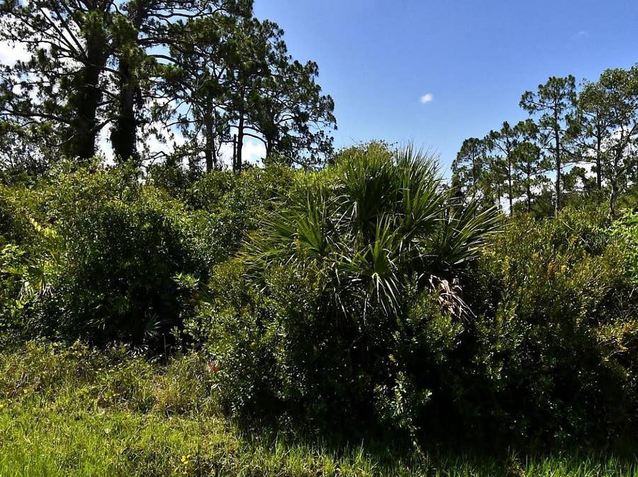 Property photo for DE MIRANDA AVENUE, North Port, FL