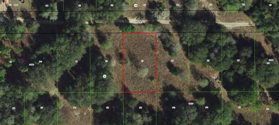 Property photo for 2407 TYLER STREET, Inverness, FL