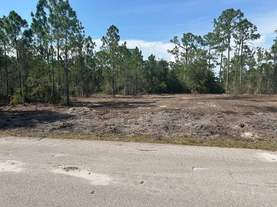 Property photo for 27292 CHULA VISTA DRIVE, Punta Gorda, FL