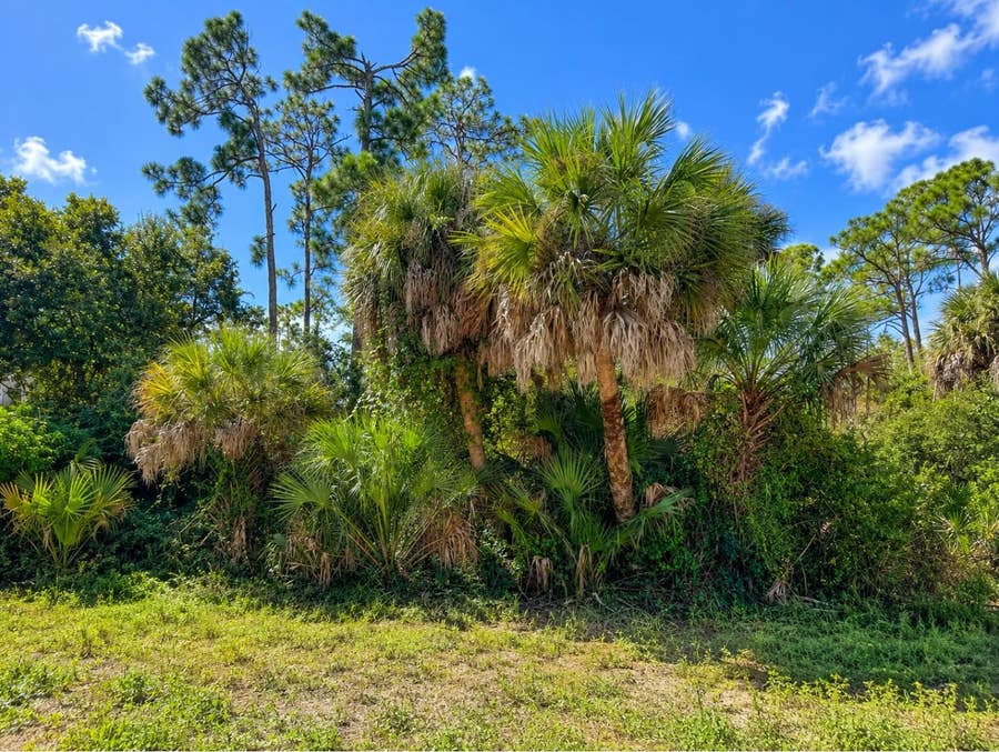 Property photo for 17129 NIXON AVENUE, Port Charlotte, FL