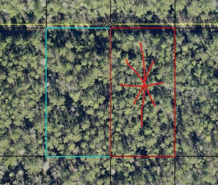 Property photo for Tract 597 TIPPIN ST, Hastings, FL