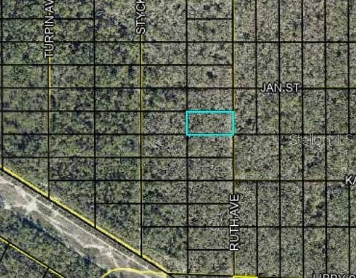 Property photo for Track 189 RUTH AVE, Hastings, FL