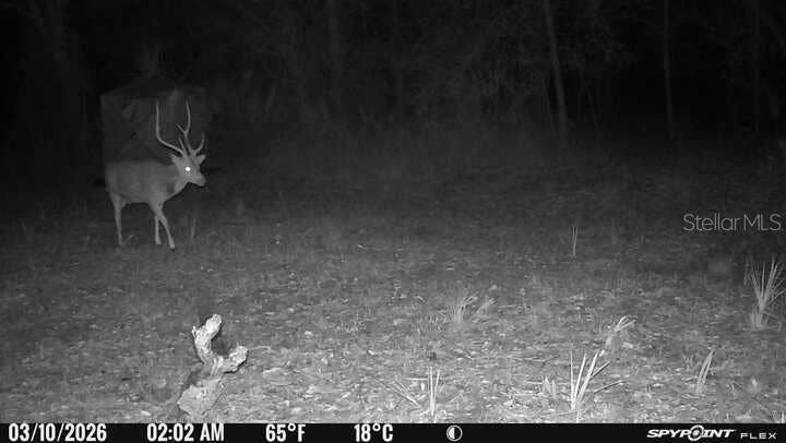 8538 SW OPOSSUM TRL, Arcadia, FL 34266