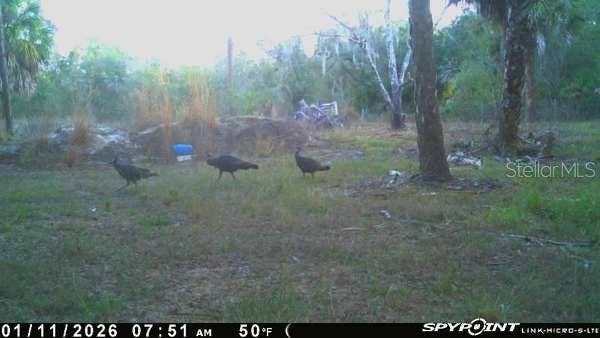 8538 SW OPOSSUM TRL, Arcadia, FL 34266