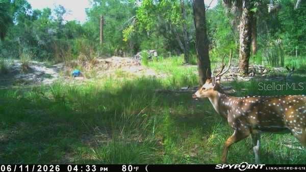 8538 SW OPOSSUM TRL, Arcadia, FL 34266