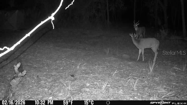 8538 SW OPOSSUM TRL, Arcadia, FL 34266