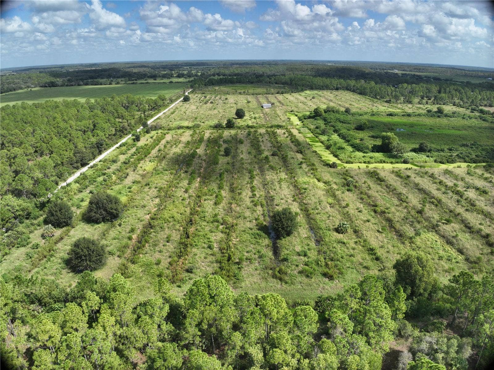 1359 LANTANA LANE, Labelle, FL 33935 1359 LANTANA LANE, Labelle, FL 33935