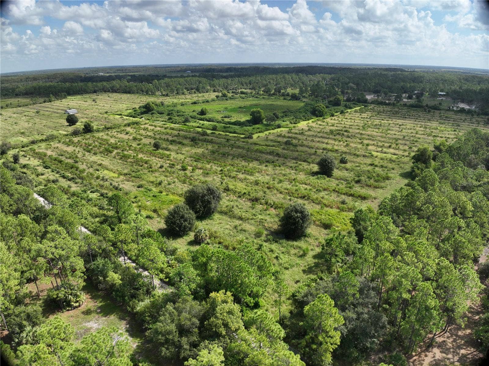 1359 LANTANA LANE, Labelle, FL 33935 1359 LANTANA LANE, Labelle, FL 33935