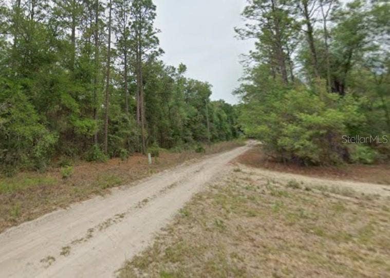 Property photo for 7715 & 7691 W RAINBOW STREET, Dunnellon, FL