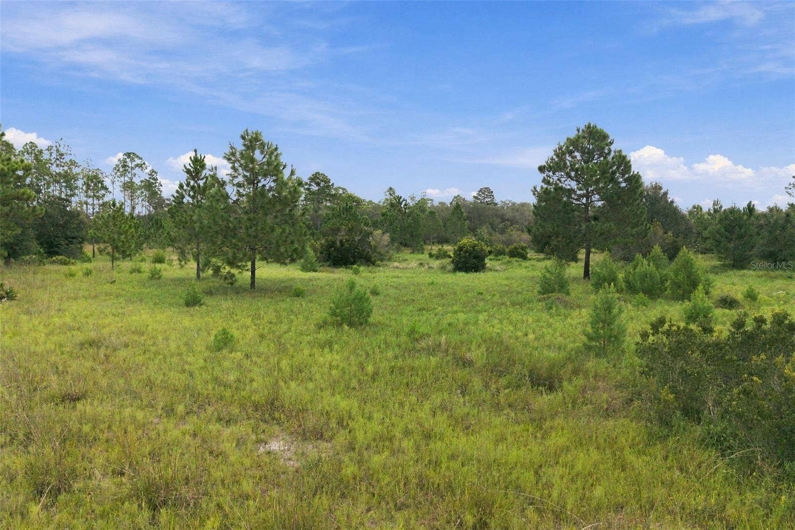 0 SEELY LANE, Weeki Wachee, FL 34613