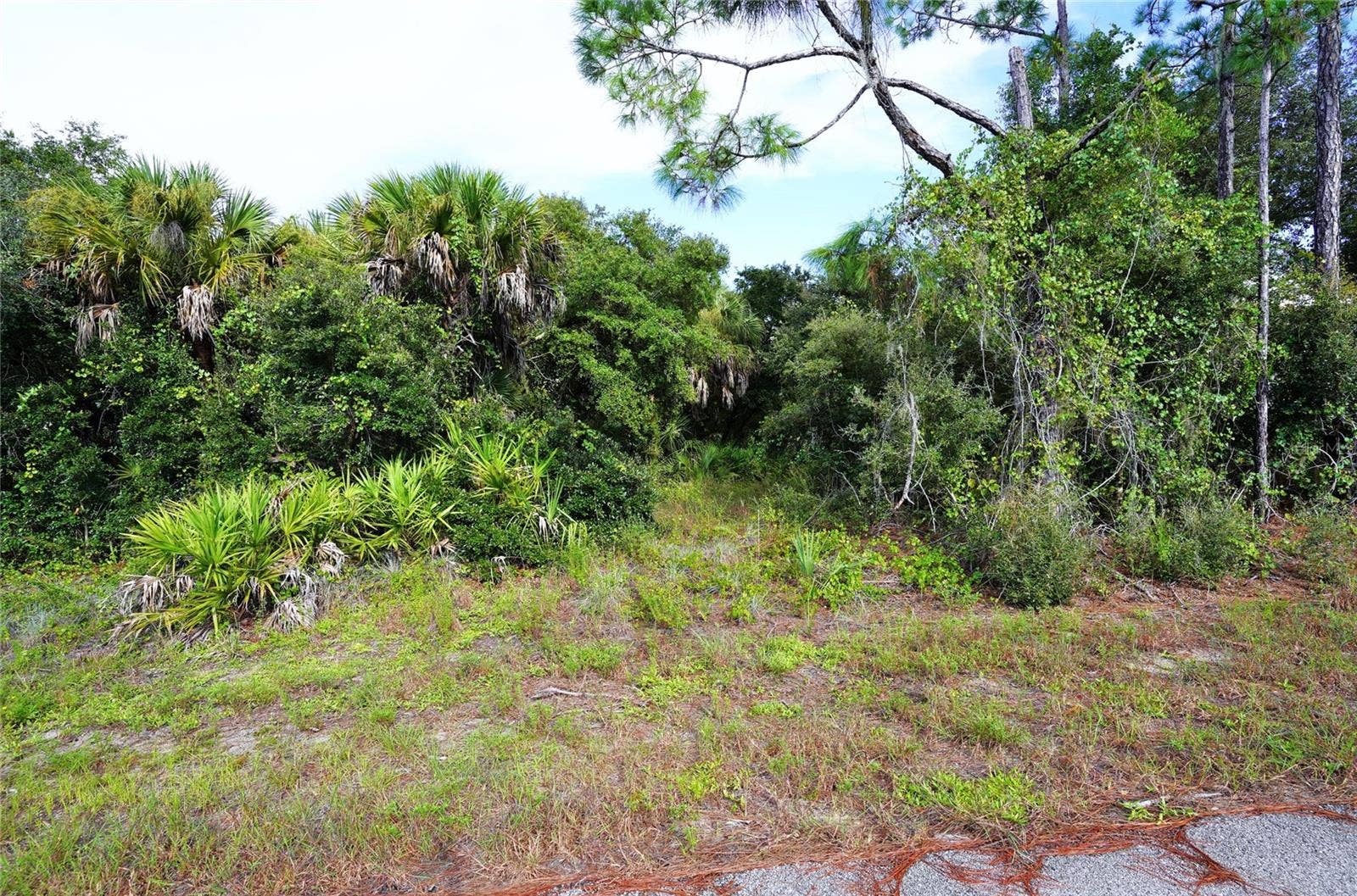 BAYNES ROAD, North Port, FL 34288 BAYNES ROAD, North Port, FL 34288