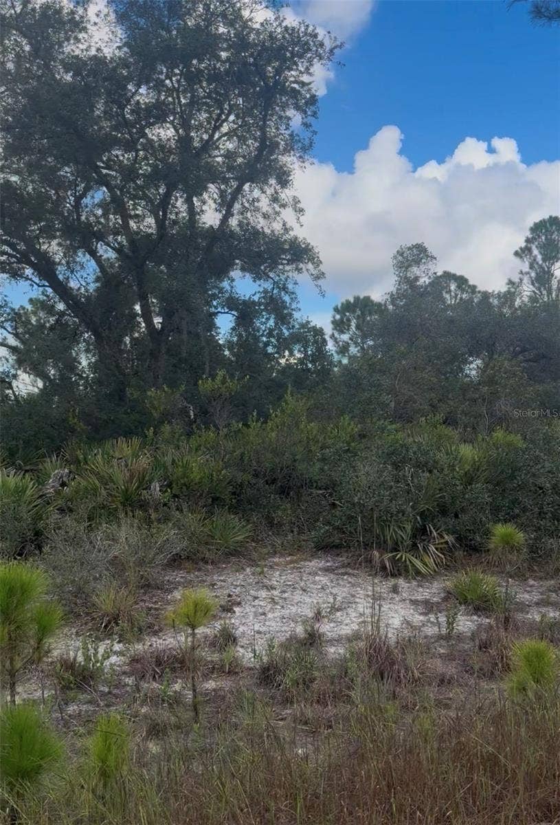 Property photo for 3513 TURIN STREET, Lake Placid, FL