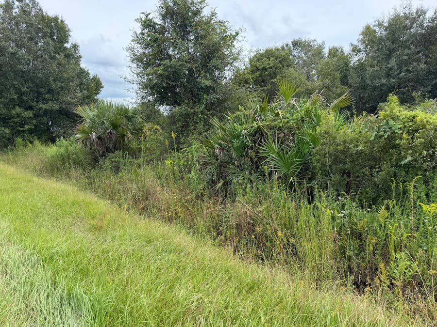 Property photo for 14616 NW 260TH STREET, Okeechobee, FL