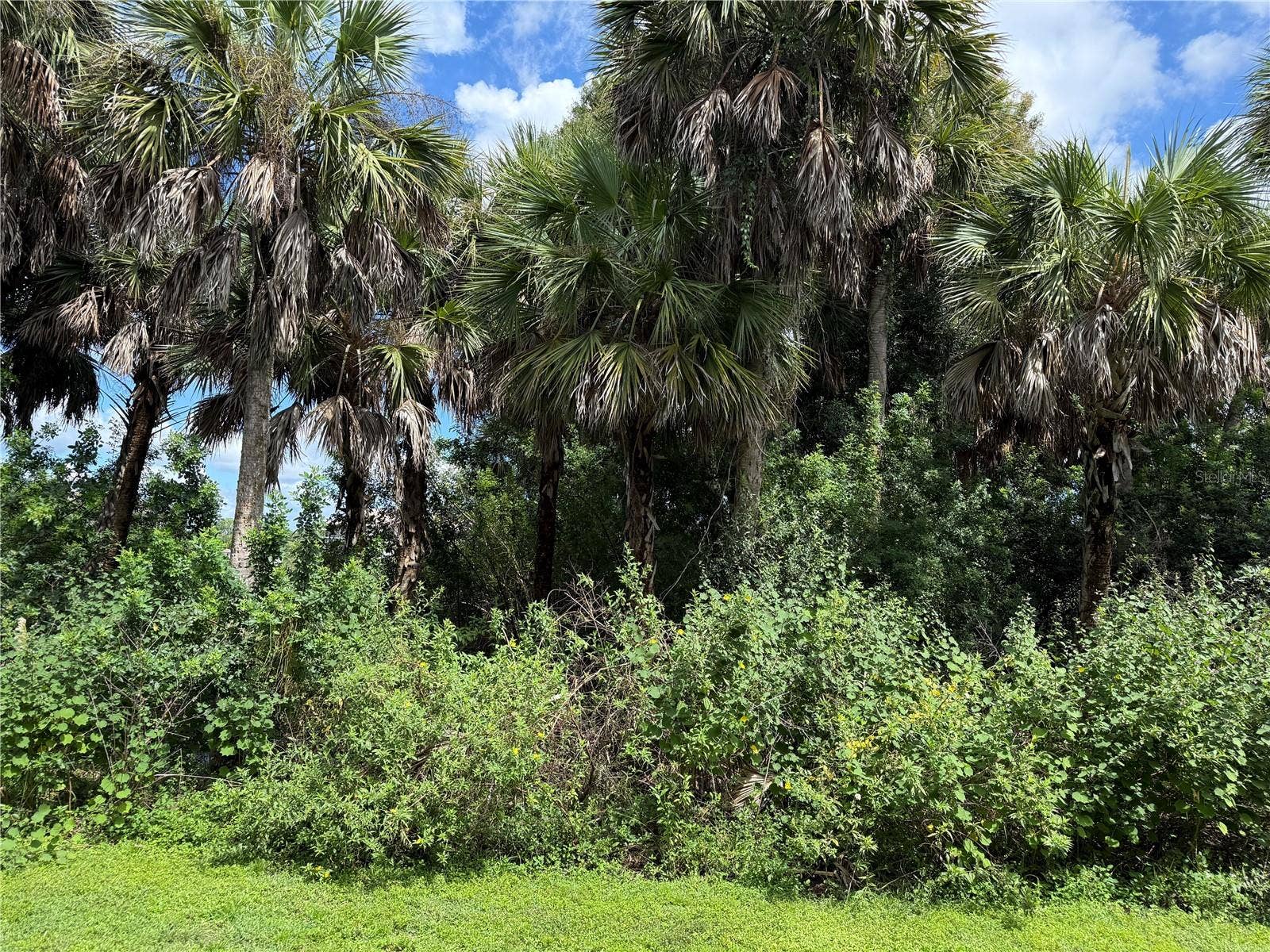 175 KINGS HIGHWAY, A6 (aka #416), Punta Gorda, FL 33983 175 KINGS HIGHWAY, A6 (aka #416), Punta Gorda, FL 33983