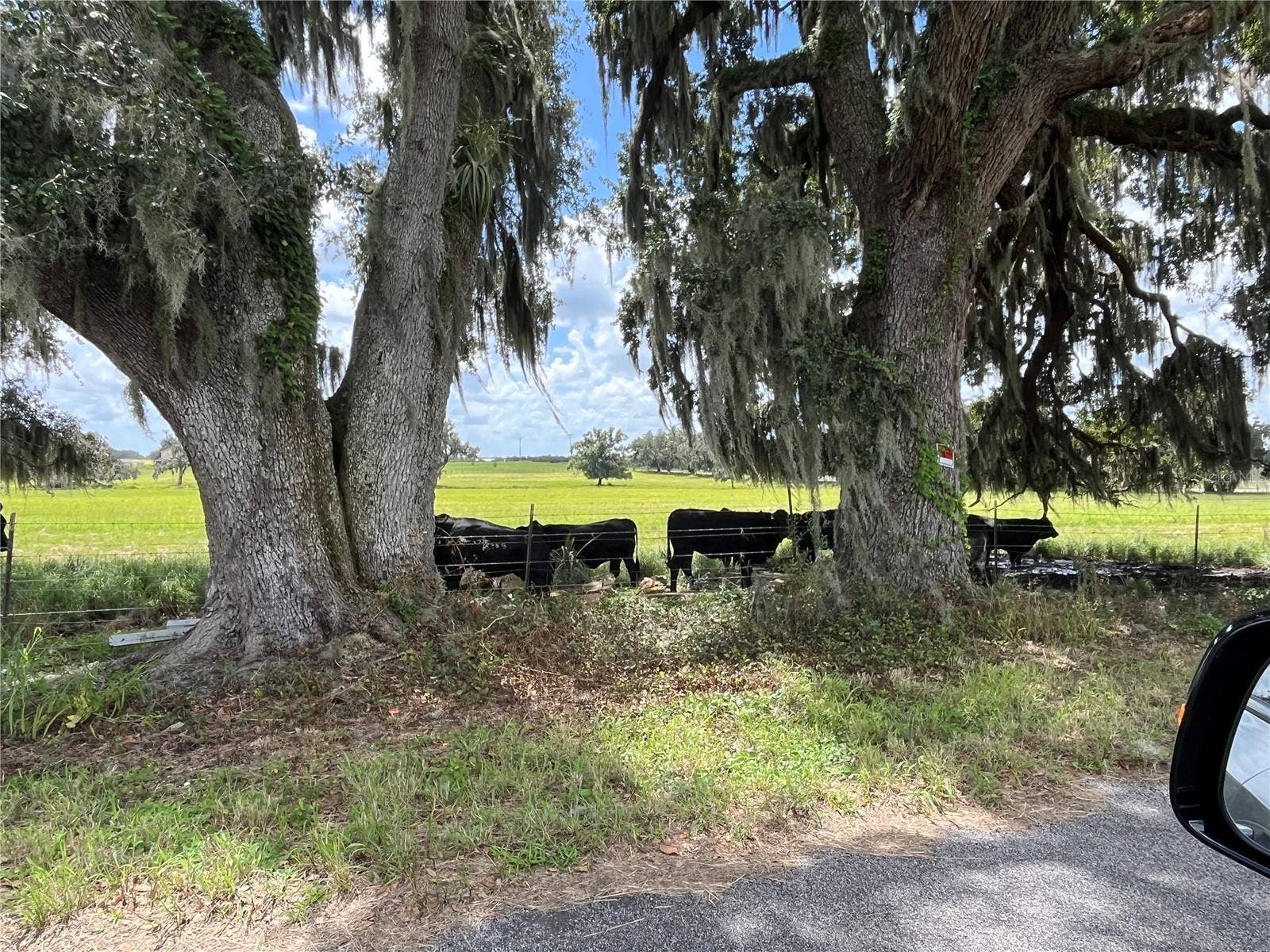 JOHNS ROAD, Wauchula, FL 33873 JOHNS ROAD, Wauchula, FL 33873