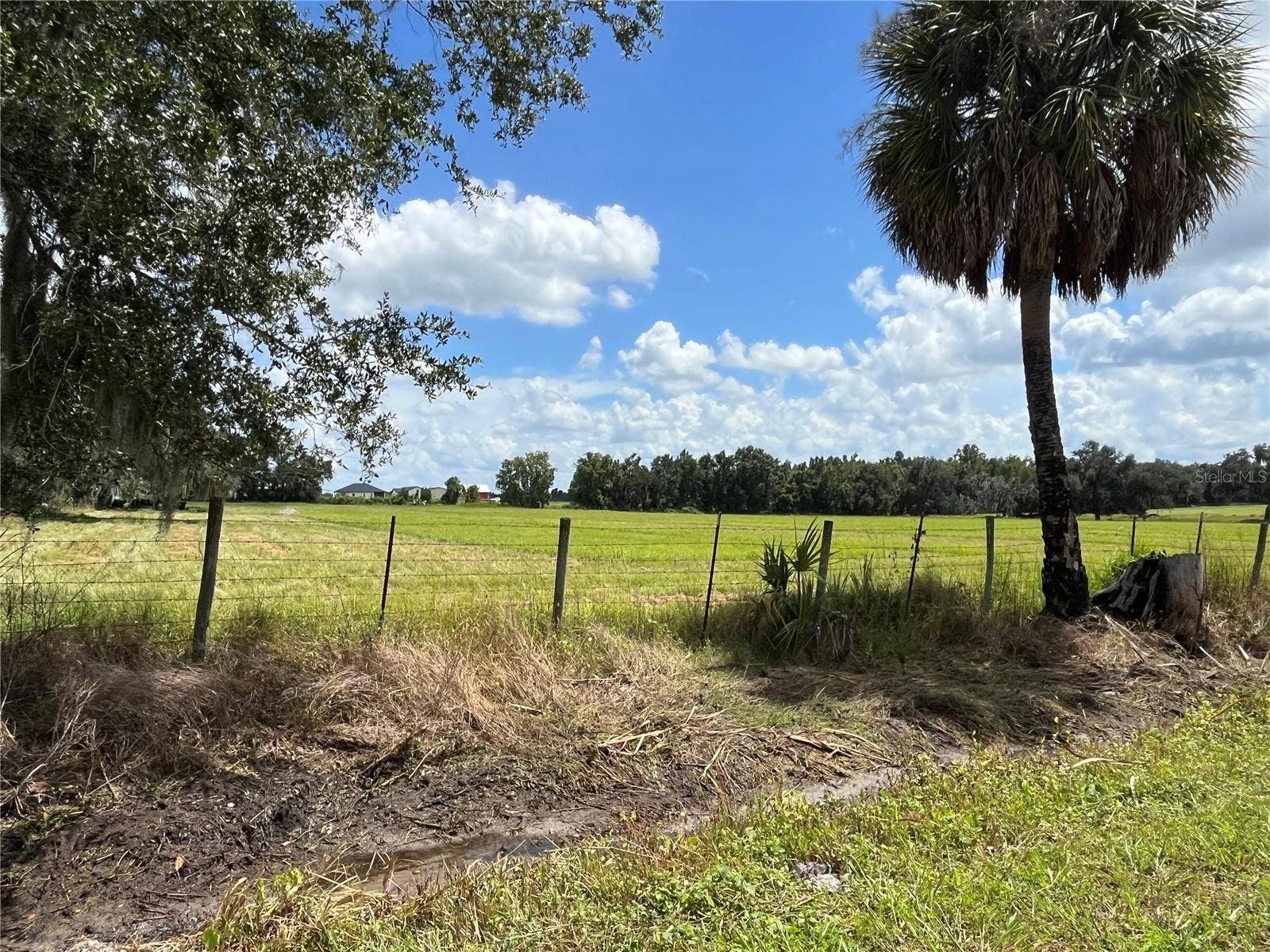 JOHNS ROAD, Wauchula, FL 33873 JOHNS ROAD, Wauchula, FL 33873