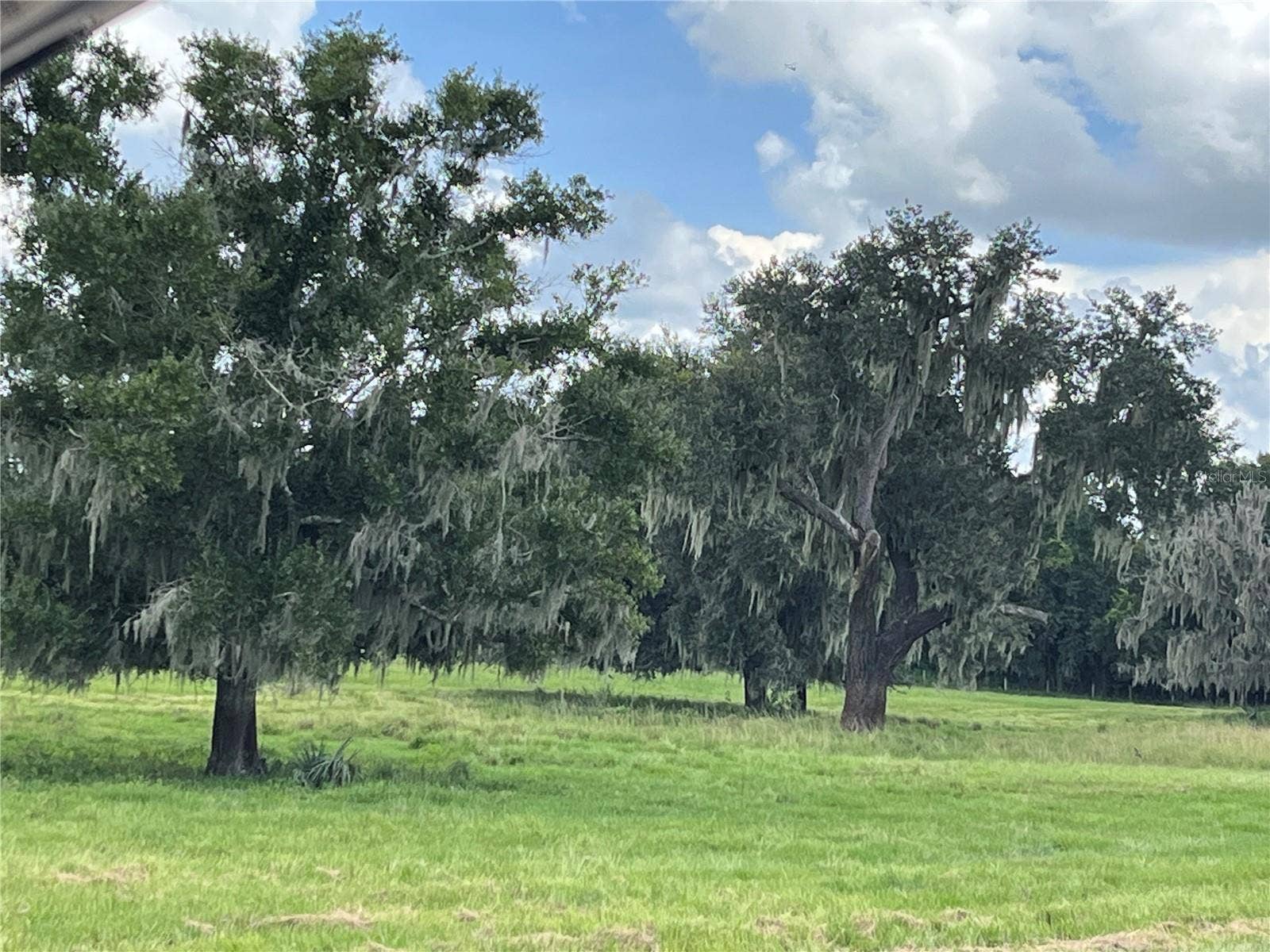 JOHNS ROAD, Wauchula, FL 33873 JOHNS ROAD, Wauchula, FL 33873