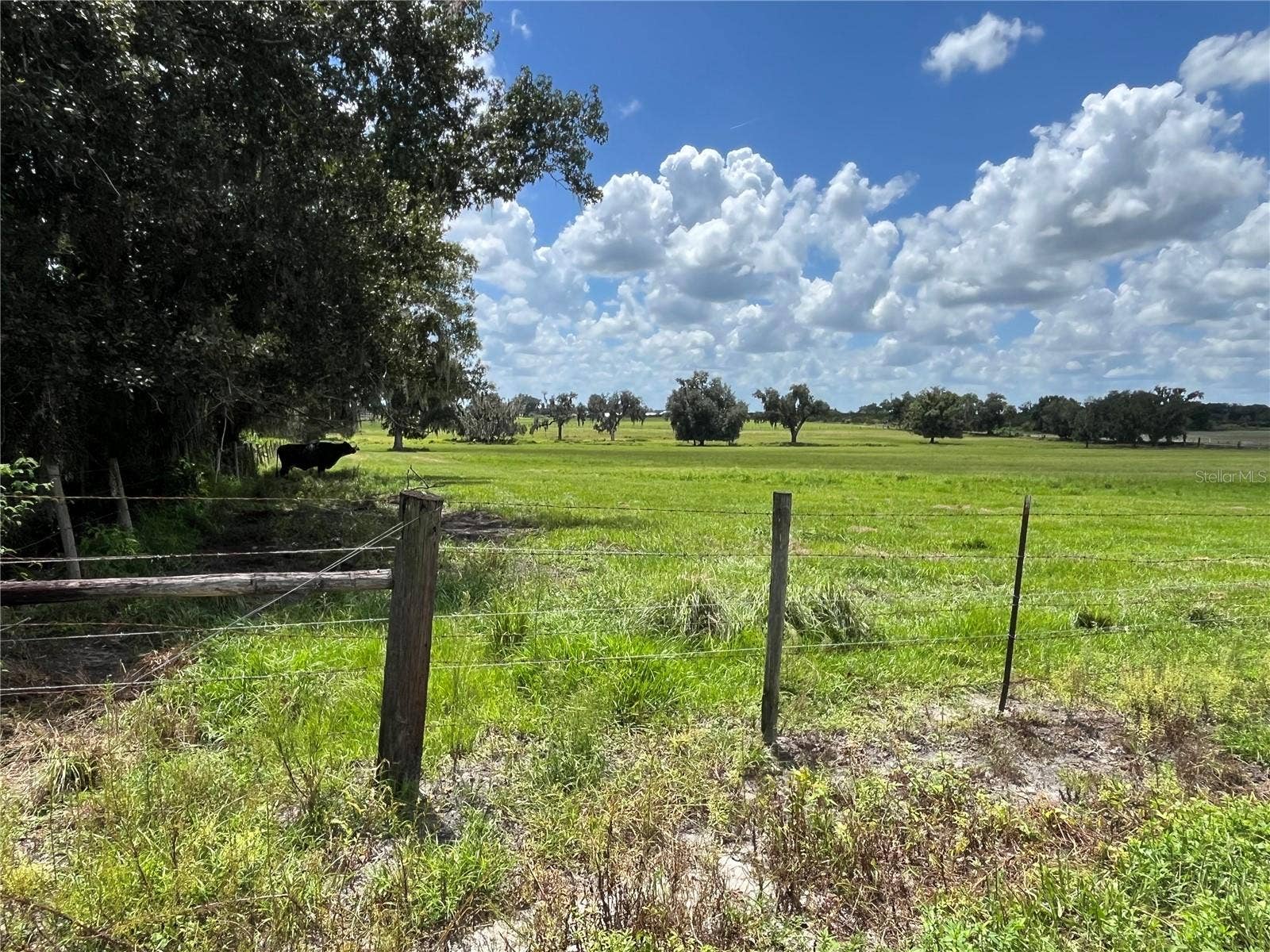 JOHNS ROAD, Wauchula, FL 33873 JOHNS ROAD, Wauchula, FL 33873