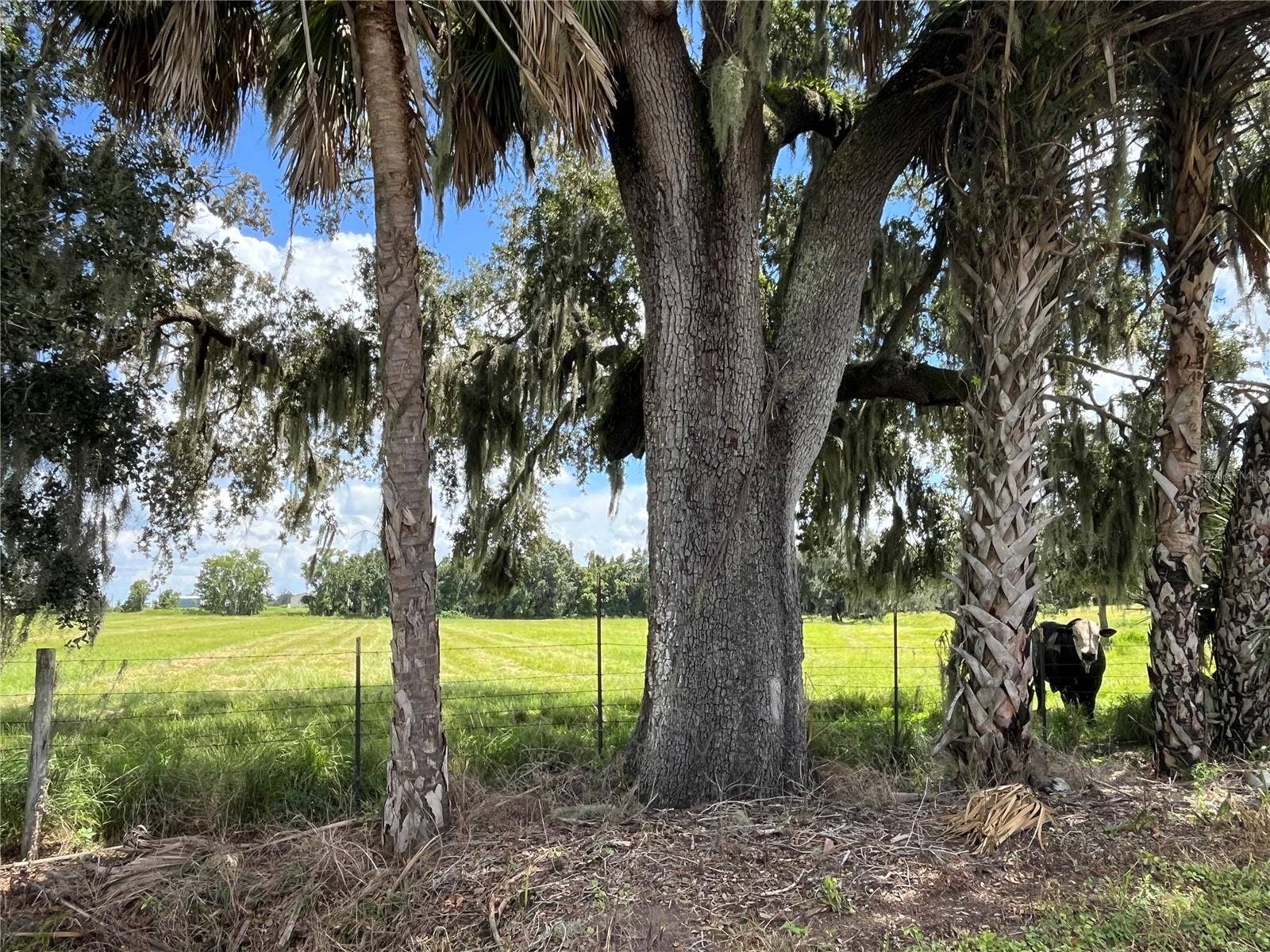 JOHNS ROAD, Wauchula, FL 33873 JOHNS ROAD, Wauchula, FL 33873