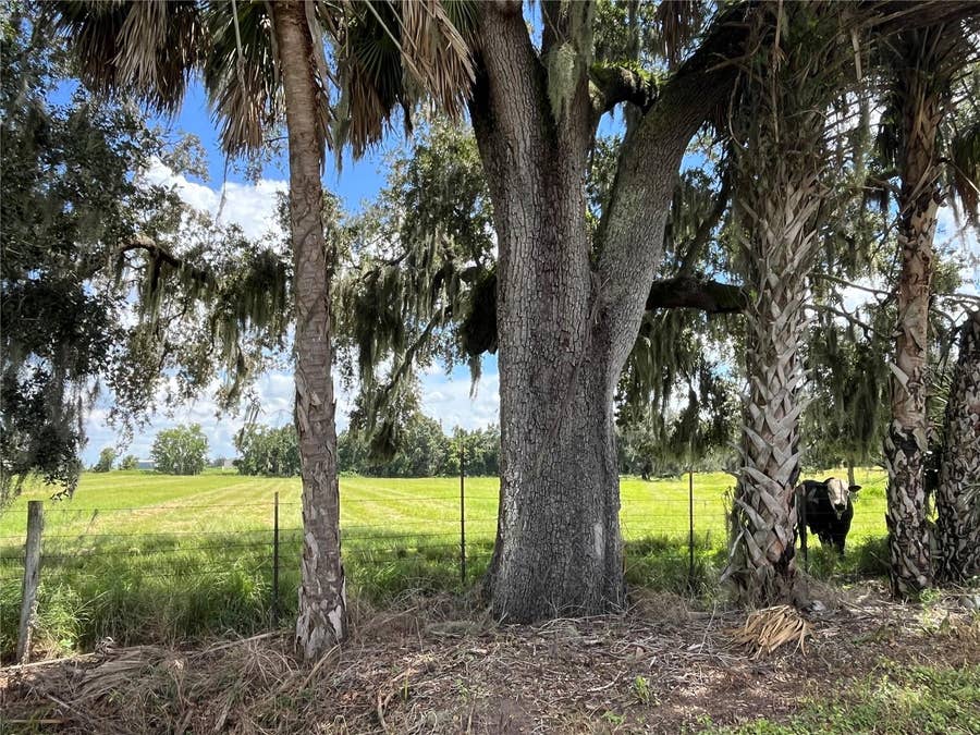 Property photo for JOHNS ROAD, Wauchula, FL