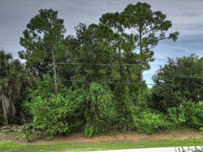 393 MALPELO AVENUE, Punta Gorda, FL 33983 393 MALPELO AVENUE, Punta Gorda, FL 33983